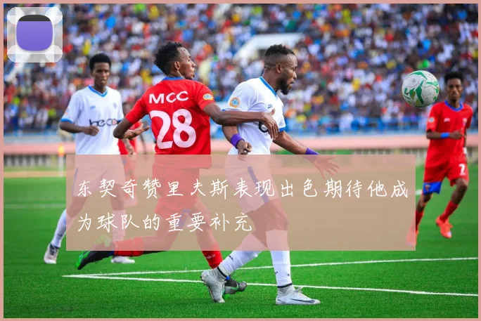 东契奇赞里夫斯表现出色期待他成为球队的重要补充