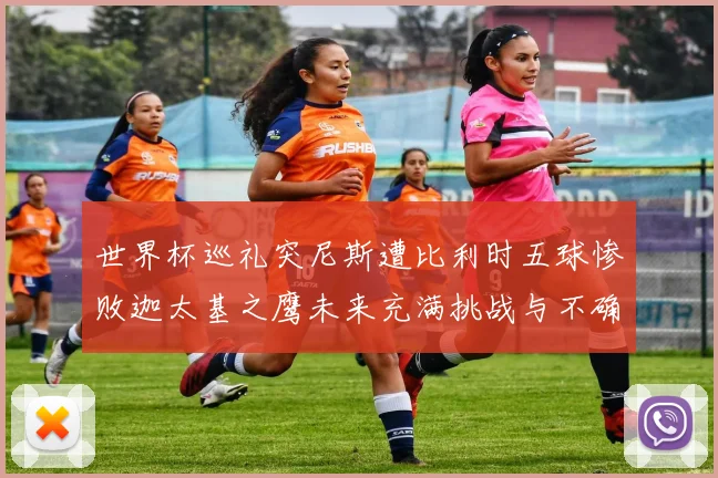 世界杯巡礼突尼斯遭比利时五球惨败迦太基之鹰未来充满挑战与不确定性